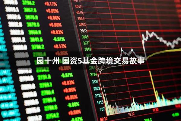园十州 国资S基金跨境交易故事