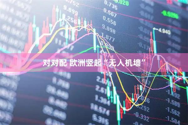 对对配 欧洲竖起“无人机墙”