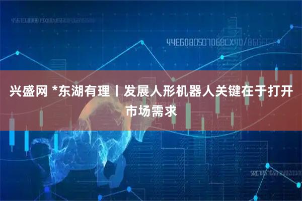 兴盛网 *东湖有理丨发展人形机器人关键在于打开市场需求